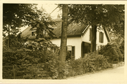 1455 Pension Frisia, 1950