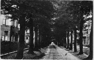 1645 Oosterbeek, Beukenlaan, 1910-1915