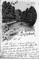 1894 Groete uit Oosterbeek - Eendenkom Hemelschen Berg, 1902-05-26