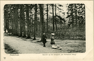 1914 Oosterbeek Gezicht op het landgoed 'de Hemelsche Berg', 1905-1915