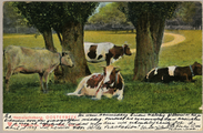 1948 Hemelscheberg Oosterbeek, 1905