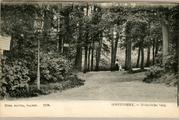 1950 Oosterbeek, - Hemelsche berg, 1910-1920