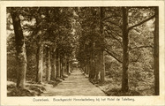 1957 Oosterbeek, Boschgezicht Hemelscheberg bij het hotel de Tafelberg, 1925-1931