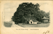 2143 Weg bij Station Hoog Oosterbeek, 1900-1905