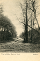 2280 Weg nabij den Nieuwen Oord, Renkum, 1900-1905