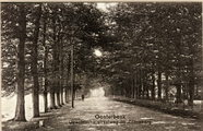 2992 Oosterbeek Utrechtsche straatweg bij Zonneberg, 1905-1910