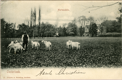 3070 Hertenstein Oosterbeek, 1905-1910
