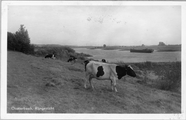 3166 Oosterbeek, Rijngezicht, 1945-1950