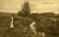 3489 Landschap Wolfheze, 1912