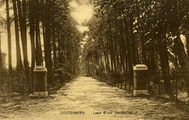 3517 Oosterbeek Laan Groot Oorsprong, 1920-1925