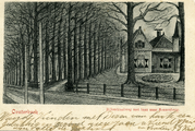 3528 Oosterbeek, Rijksstraatweg met laan naar Sonnenberg, 1900-1902