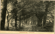 360 Italiaanscheweg - Oosterbeek, 1900-1910