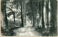 363 Italiaanscheweg Oosterbeek, 1900-1910