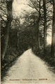 380 Doorwerth - Italiaanscheweg Renkum, 1900-1910