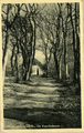 394 Heelsum-Doorwerth, De Kapelleboom, 1920-1930