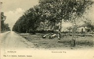 498 Renkum, Bennekomsche Weg, 1900