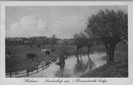 905 Heelsum - Landschap aan 't Doorwerthsche beekje, 1920-1930
