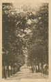 956 Kastanjelaan, Heelsum, 1920-1930