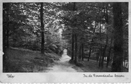 1237 Velp, In de Rozendaalse bossen, 1920-1950