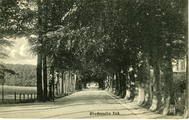 1248 Rhedensche Enk, 1915-08-21