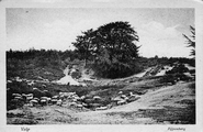 1440 Velp, Zijpenberg, 1900-1940
