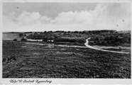 1452 Velp (G.), Omtrek Zijpenberg, 1943-08-13