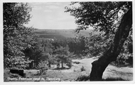 1467 Rheden, Panorama vanaf de Zijpenberg, 1952-08-25