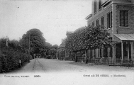 1566 Groet uit De Steeg, Rhederdal, 1900-1920