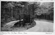 1821 Omgeving Velp-De Steeg-Ellecom-Dieren, Rozenbosch, 1943-08-10