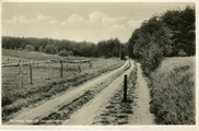 2063 De Steeg, Naar de Carolinahoeve, 1920-1930