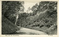 2202 De Steeg, Weg naar den Rouwenberg, 1929-09-03