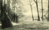 2224 Ellecom, Middachter bosch, Duivelsteen, 1910-1930