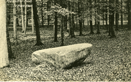 2229 Middachter Bosch, De groote steen, 1900-1925