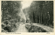 2234 Ellecom, Holleweg naar de Carolinahoeve, 1929-09-16