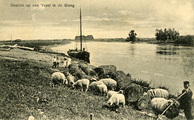 2288 de Steeg, Gezicht op den Yssel, 1900-1940