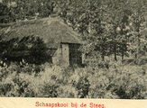 2317 Schaapskooi bij de Steeg, 1920-1930