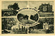 2319 Souvenir De Steeg, De Parel v.d. Veluwe, 1948-12-01