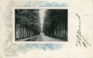 2499 Laan - Ellecom, 1900-1910