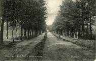 2519 Ellekom, Weg naar den Prins Willemsberg, 1914-07-24