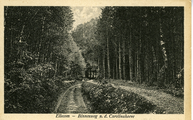 2680 Ellecom, Binnenweg n.d. Carolinehoeve, 1921-1940