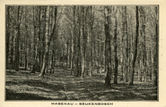 2694 Hagenau-Beukenbosch, 1900-1930