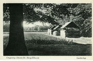 2697 Omgeving Dieren-De Steeg-Ellecom, Landschap, 1943-06-17
