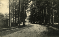 2848 Dieren, Weg naar Ellecom, 1915-07-24