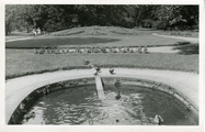 2865 Dieren, Carolinapark, 1940-1950