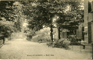 3177 Groet uit Dieren, Zutf. weg, 1900-1930