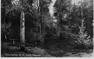 4045 Laag-Soeren, Bij de Zeven Heuvelen, 1951-08-28