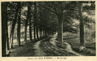 4076 Groet uit Laag Soeren, Boschweg, 1920-1930