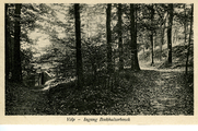 56 Ingang Beekhuizerbosch, 1921-1940
