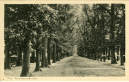 669 Velp, Rosendaelsche laan, 1930-1950