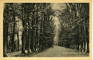670 Rozendaalschelaan bij Velp, 1920-1950